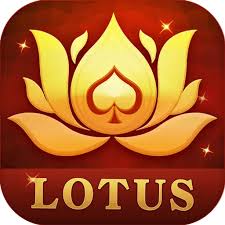 rummy meas download